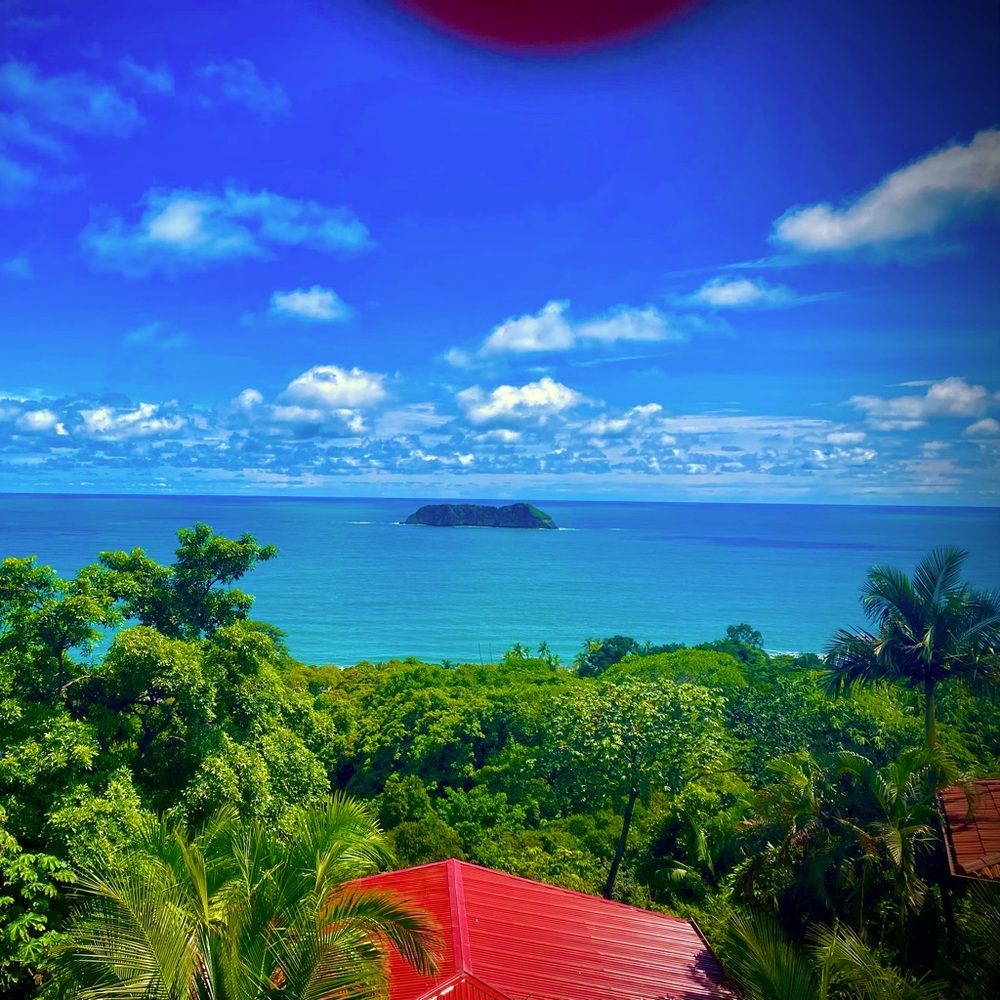 Meet your Posher, Holly